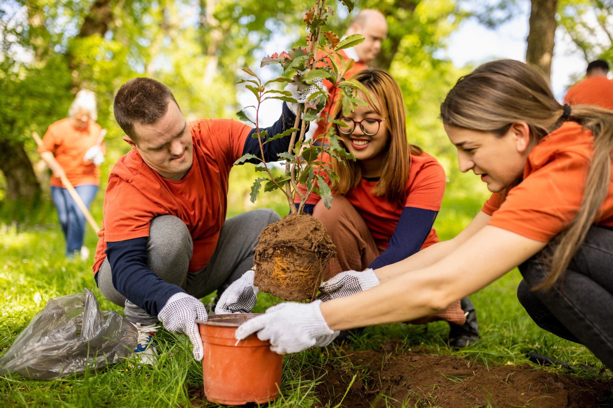Volunteers planting trees together